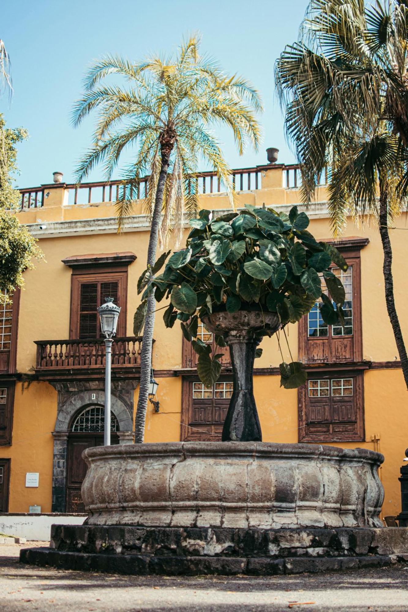 Suite 85, Villa Boutique Privada Con Piscina Icod De Los Vinos Exterior foto